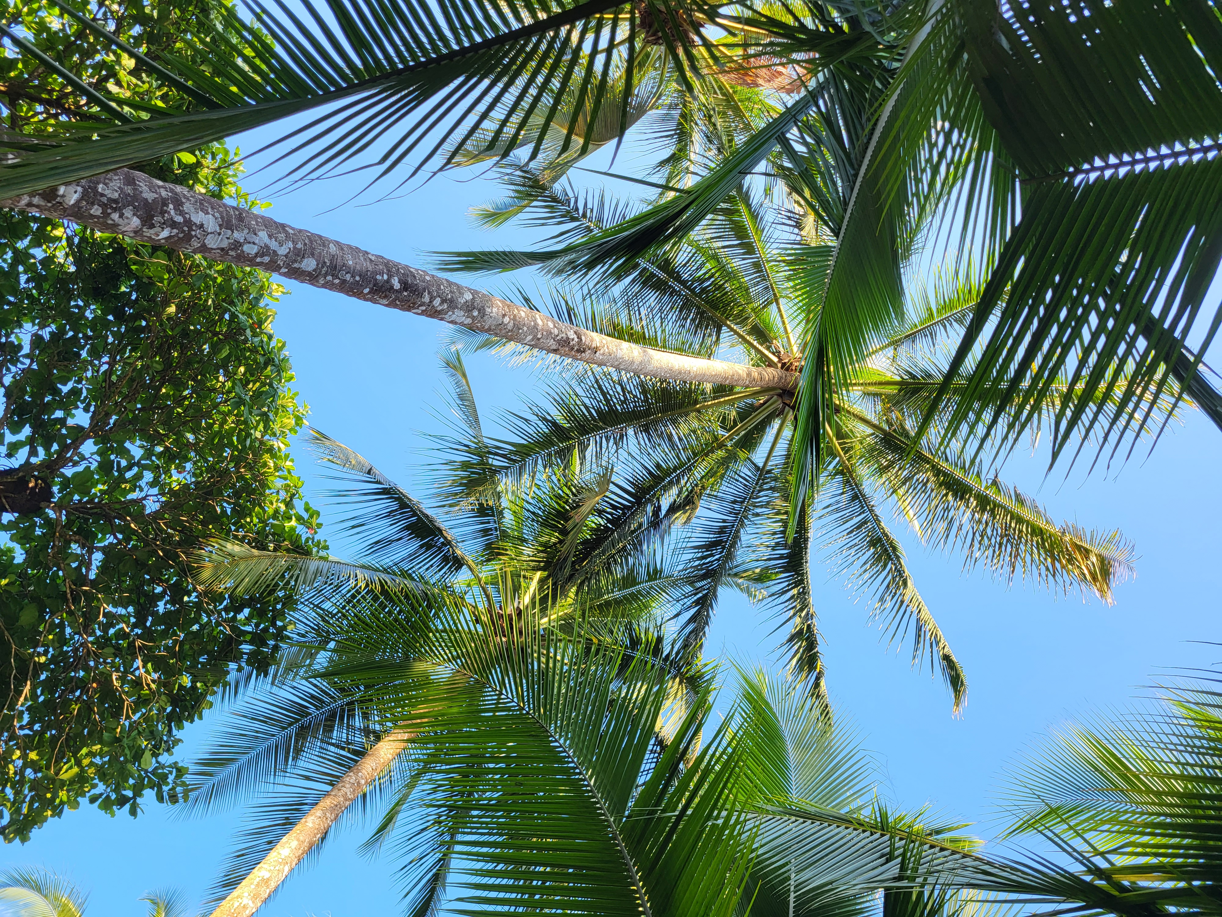 Explore Our Packages